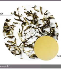 Alternative view of Bạch Shan Trà Suối Giàng